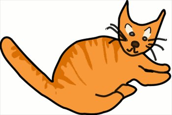 orange cat 01