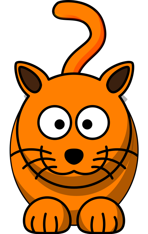 orange cat 02