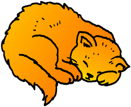 orange cat 04