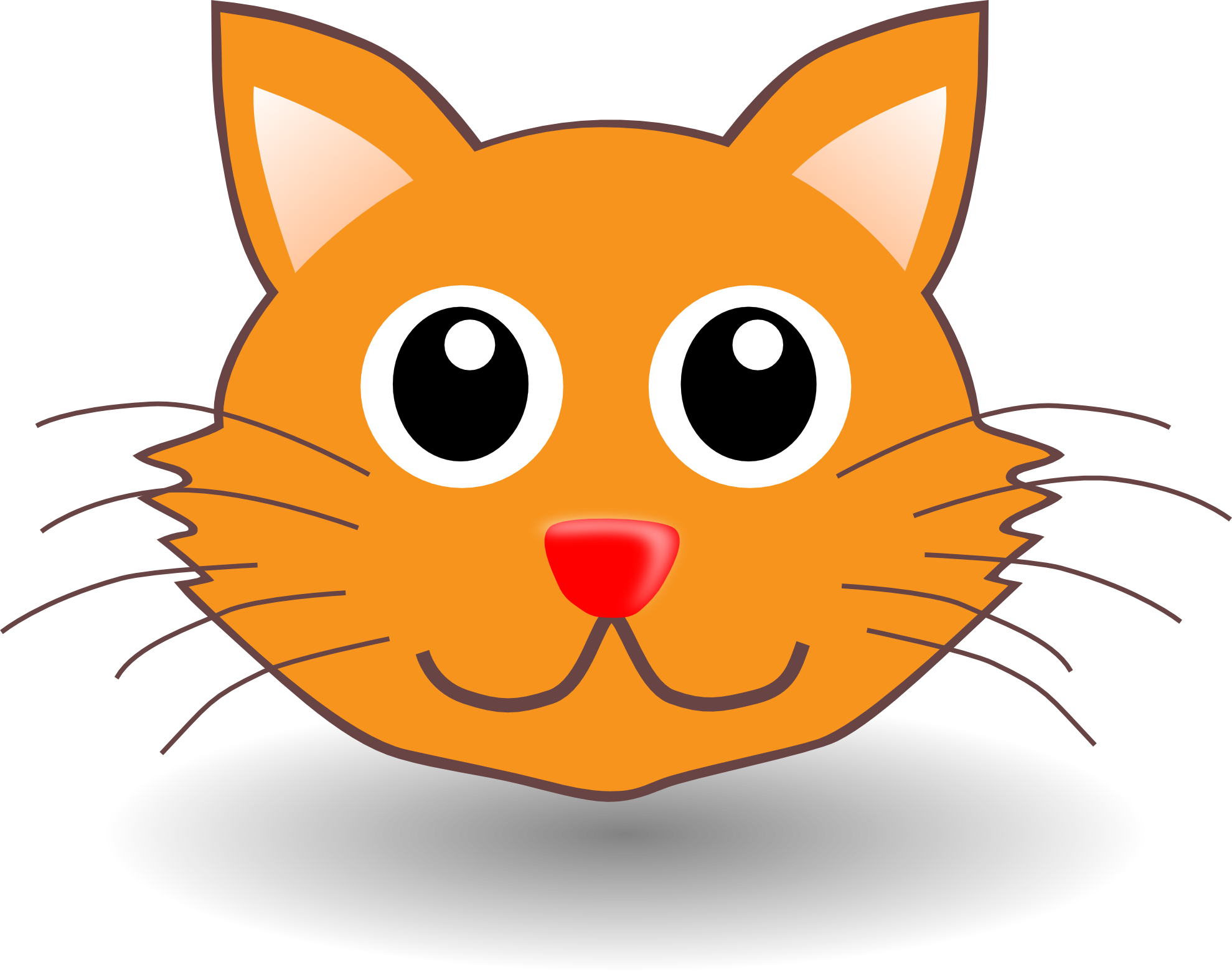 orange cat 05
