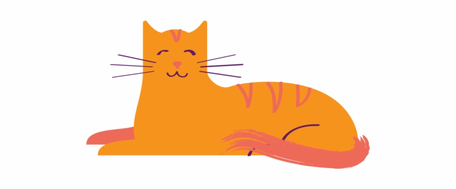 orange cat 06